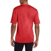 image:image100 Merino Wool Mens Lightweight TShirt  Crew Neck Short Sleeve ShirtTrue Red